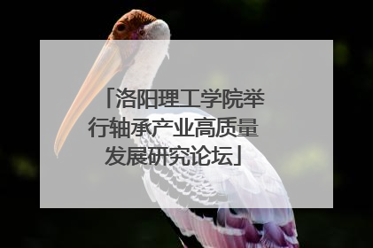 洛阳理工学院举行轴承产业高质量发展研究论坛