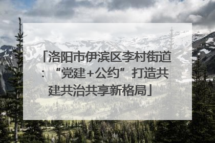 洛阳市伊滨区李村街道：“党建+公约”打造共建共治共享新格局
