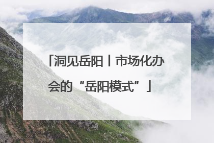 洞见岳阳丨市场化办会的“岳阳模式”