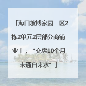 海口坡博家园二区2栋2单元2层部分商铺业主：“交房10个月未通自来水”