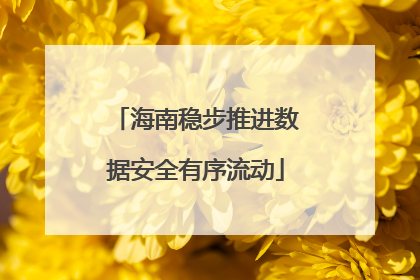 海南稳步推进数据安全有序流动