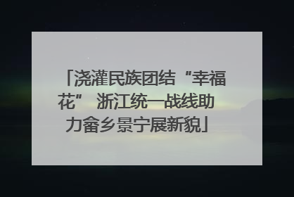 浇灌民族团结“幸福花” 浙江统一战线助力畲乡景宁展新貌