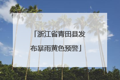 浙江省青田县发布暴雨黄色预警