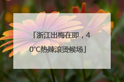 浙江出梅在即，40℃热辣滚烫候场