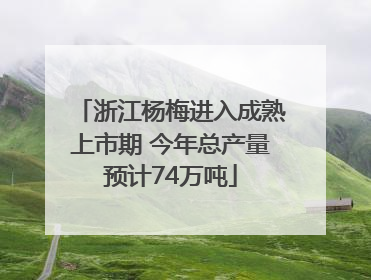 浙江杨梅进入成熟上市期 今年总产量预计74万吨