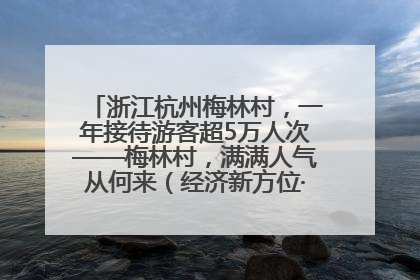 浙江杭州梅林村，一年接待游客超5万人次——梅林村，满满人气从何来（经济新方位·农村消费观察）