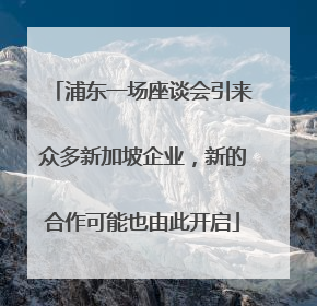 浦东一场座谈会引来众多新加坡企业，新的合作可能也由此开启