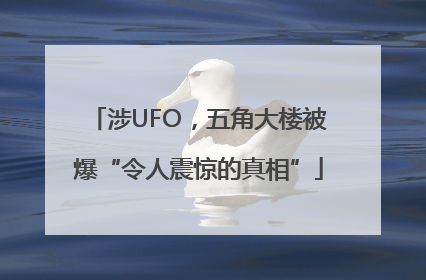 涉UFO，五角大楼被爆“令人震惊的真相”