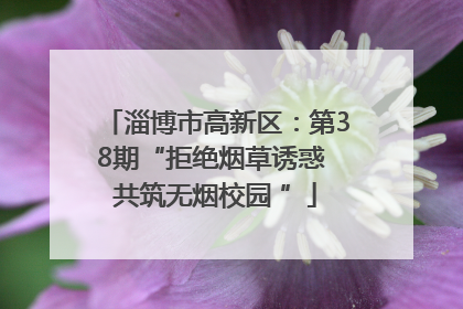 淄博市高新区：第38期“拒绝烟草诱惑 共筑无烟校园 ”