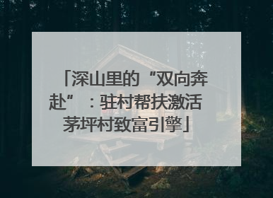 深山里的“双向奔赴”：驻村帮扶激活茅坪村致富引擎