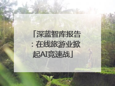深蓝智库报告：在线旅游业掀起AI竞速战