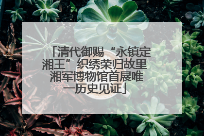 清代御赐“永镇定湘王”织绣荣归故里 湘军博物馆首展唯一历史见证