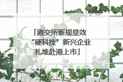 港交所新规显效 “硬科技”新兴企业扎堆赴港上市