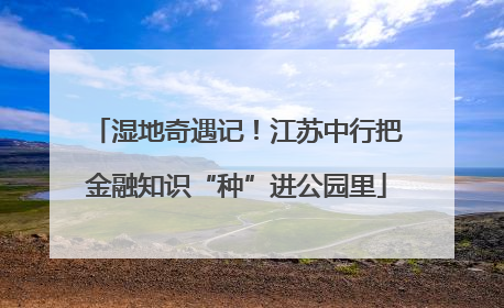 湿地奇遇记！江苏中行把金融知识“种”进公园里