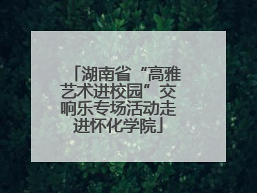湖南省“高雅艺术进校园”交响乐专场活动走进怀化学院