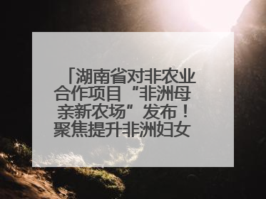 湖南省对非农业合作项目“非洲母亲新农场”发布！聚焦提升非洲妇女能力与家庭福祉