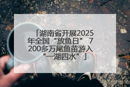 湖南省开展2025年全国“放鱼日” 7200多万尾鱼苗游入“一湖四水”