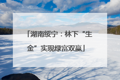 湖南绥宁：林下“生金”实现绿富双赢