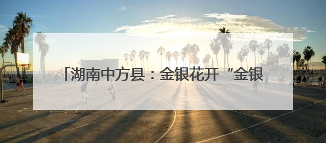 湖南中方县：金银花开“金银”来 特色产业赋能乡村振兴