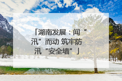 湖南发展：闻“汛”而动 筑牢防汛“安全墙”