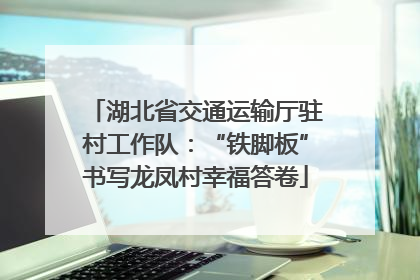 湖北省交通运输厅驻村工作队：“铁脚板”书写龙凤村幸福答卷