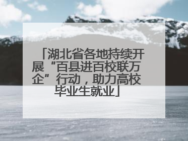 湖北省各地持续开展“百县进百校联万企”行动，助力高校毕业生就业