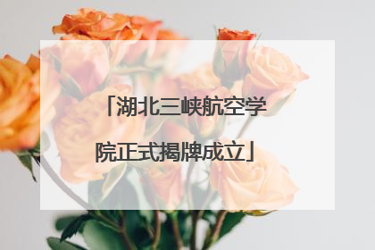 湖北三峡航空学院正式揭牌成立
