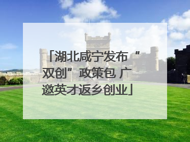 湖北咸宁发布“双创”政策包 广邀英才返乡创业