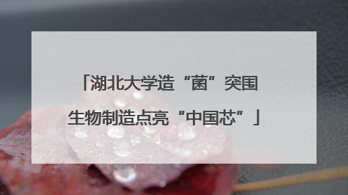 湖北大学造“菌”突围 生物制造点亮“中国芯”