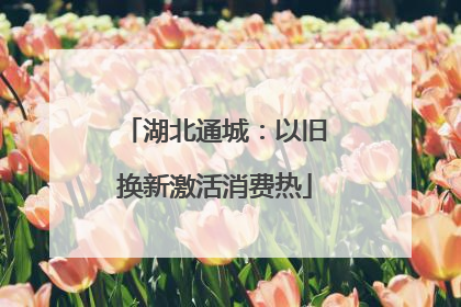 湖北通城：以旧换新激活消费热