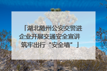湖北随州公安交警进企业开展交通安全宣讲筑牢出行“安全墙”