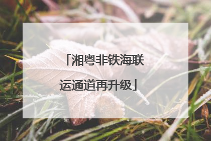 湘粤非铁海联运通道再升级