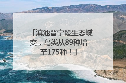 滇池晋宁段生态蝶变，鸟类从89种增至175种！
