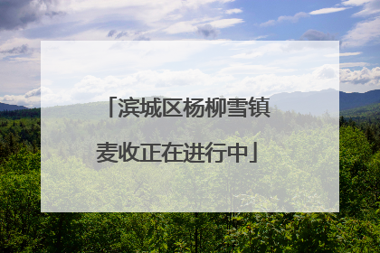 滨城区杨柳雪镇麦收正在进行中