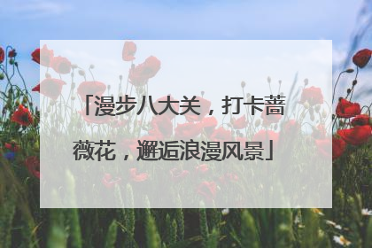 漫步八大关，打卡蔷薇花，邂逅浪漫风景