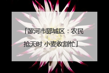 漯河市郾城区：农民抢天时 小麦收割忙
