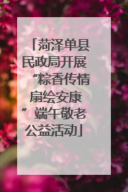 菏泽单县民政局开展“粽香传情 扇绘安康”端午敬老公益活动