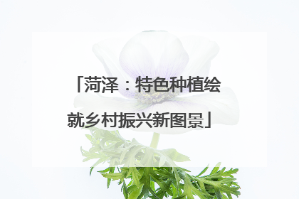 菏泽：特色种植绘就乡村振兴新图景