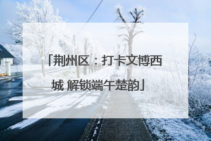 荆州区：打卡文博西城 解锁端午楚韵