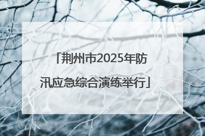 荆州市2025年防汛应急综合演练举行