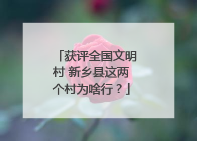 获评全国文明村 新乡县这两个村为啥行？