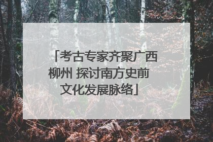 考古专家齐聚广西柳州 探讨南方史前文化发展脉络