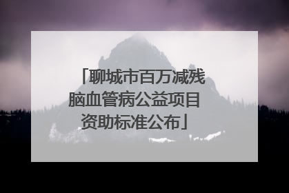 聊城市百万减残脑血管病公益项目资助标准公布
