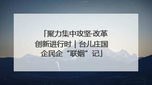聚力集中攻坚·改革创新进行时｜台儿庄国企民企“联姻”记