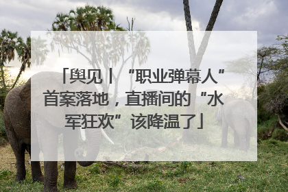 舆见丨“职业弹幕人”首案落地，直播间的“水军狂欢”该降温了