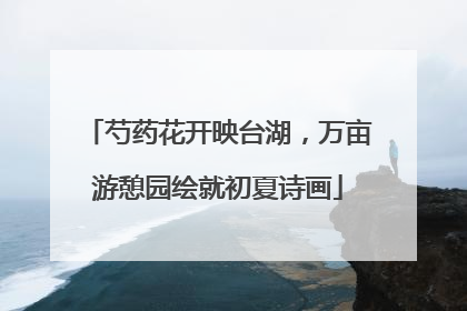 芍药花开映台湖，万亩游憩园绘就初夏诗画