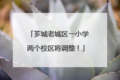 芗城老城区一小学两个校区将调整！