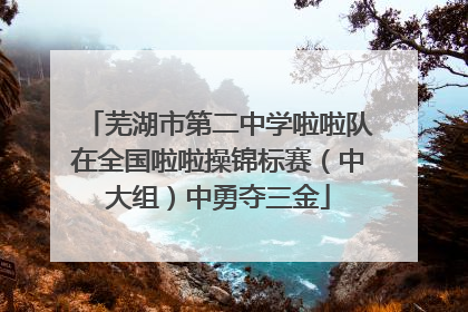 芜湖市第二中学啦啦队在全国啦啦操锦标赛（中大组）中勇夺三金