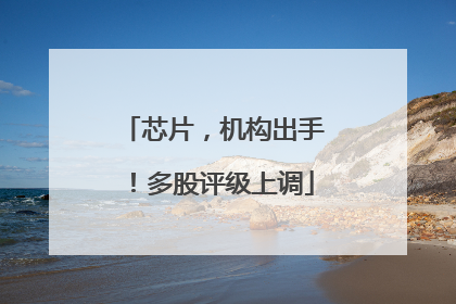 芯片，机构出手！多股评级上调