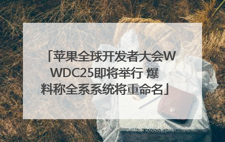 苹果全球开发者大会WWDC25即将举行 爆料称全系系统将重命名
